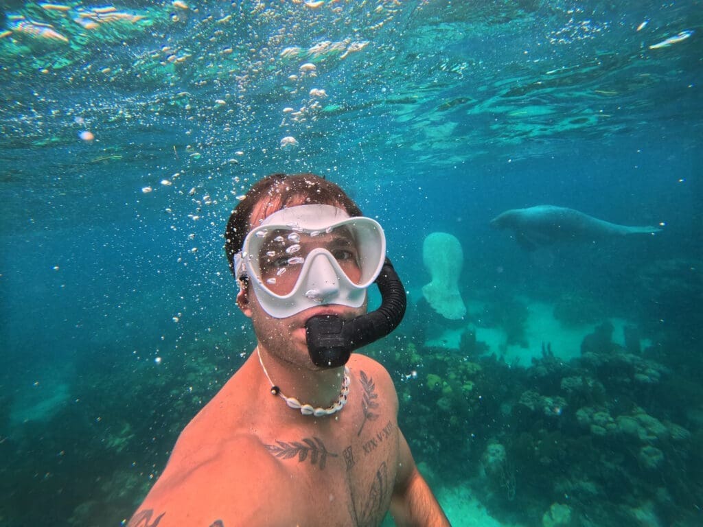 Belize snorkeling z manatami