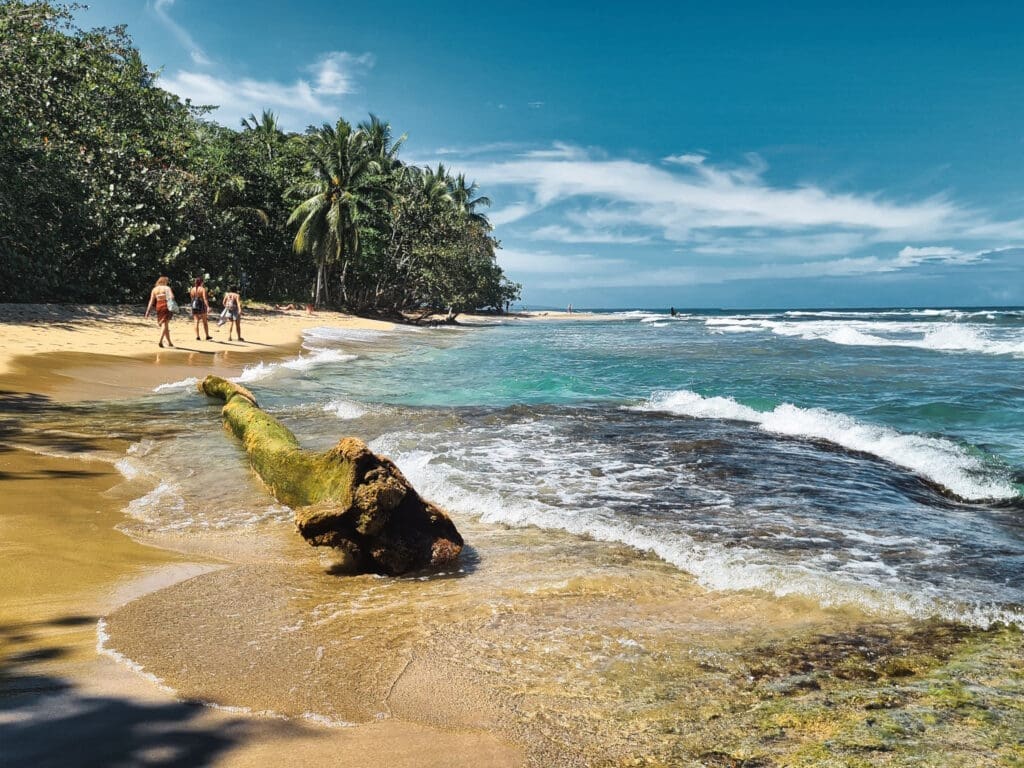 Kostaryka Puerto Viejo