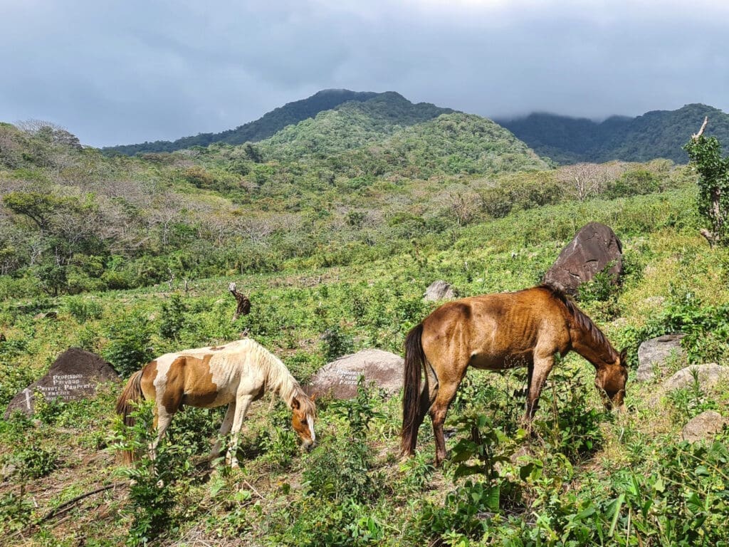 Nikaragua Wyspa Ometepe