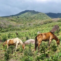 Nikaragua Wyspa Ometepe
