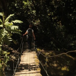 trekking w valle de cocora