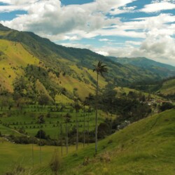 valle de cocora kolumbia